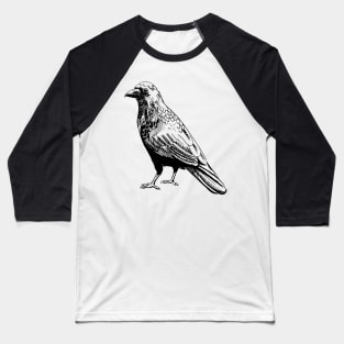 raven Baseball T-Shirt